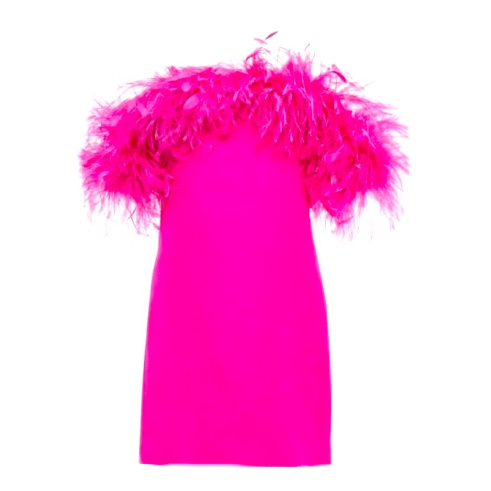 Valentino Women's Crepe Couture Short Dress With Feather Embroidery